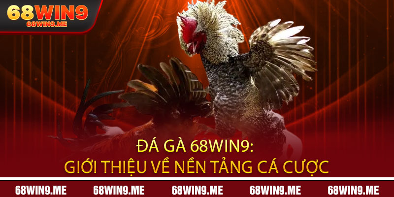 Đá Gà 68Win9: Giới thiệu về nền tảng cá cược