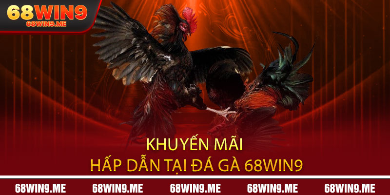 Khuyến mãi hấp dẫn tại Đá Gà 68Win9