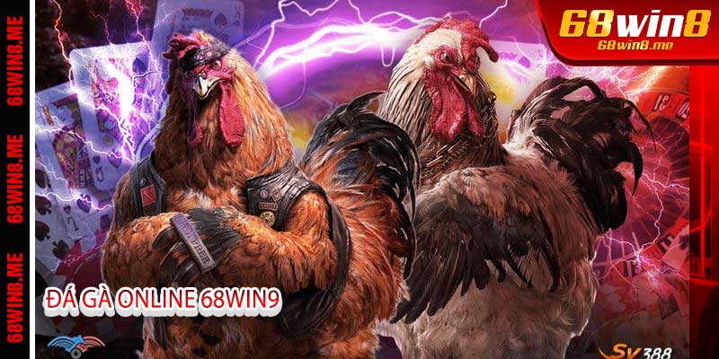 Đá Gà Online 68Win9 - Săn Kèo Thomo Hốt Bạc Tươi Về Ví